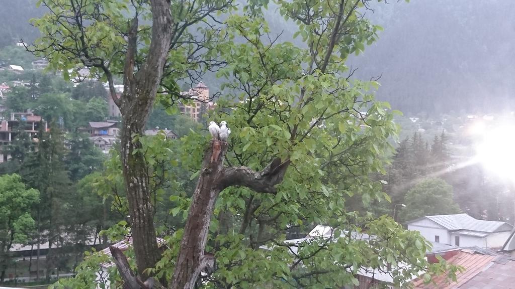 Rachvela'S Guest House Borjomi Εξωτερικό φωτογραφία